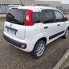 Fiat Panda 85 CV S&S 4x4 4 posti trazione integrale 10500€ 2020)